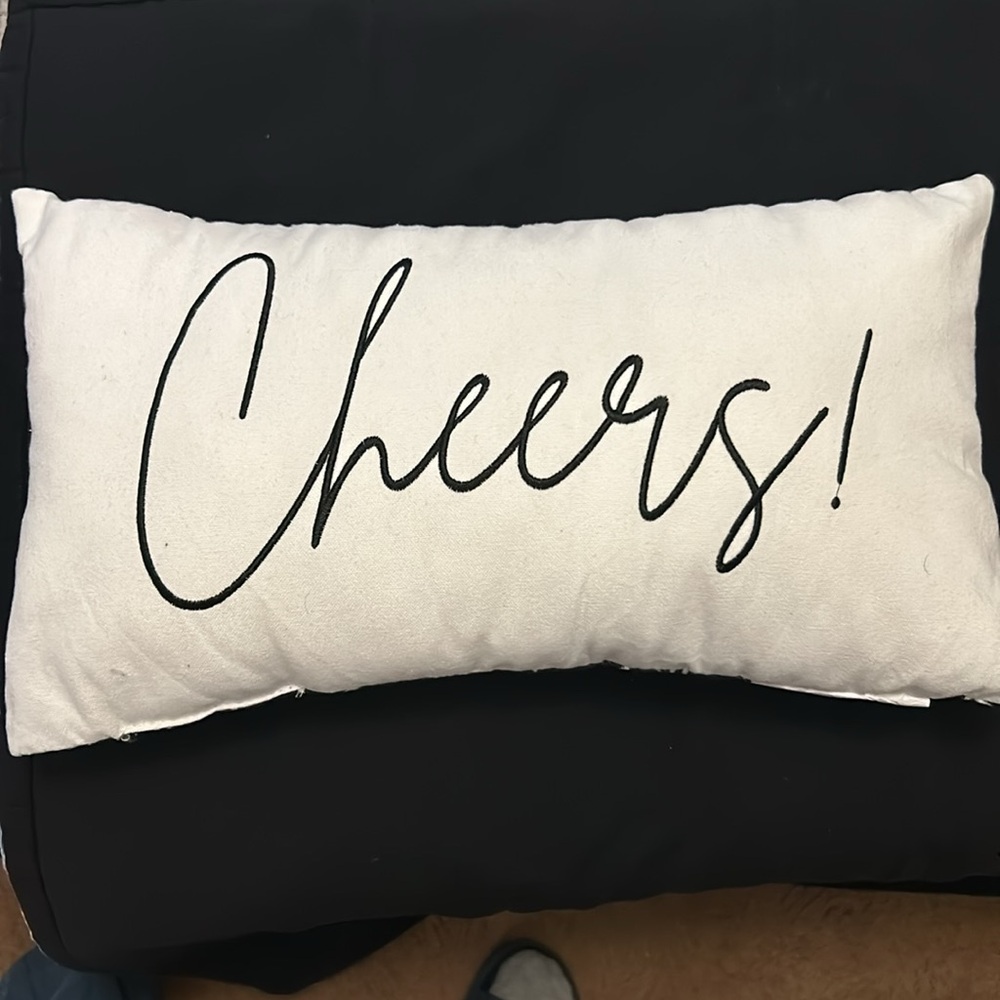 Cheers Decorative pillow